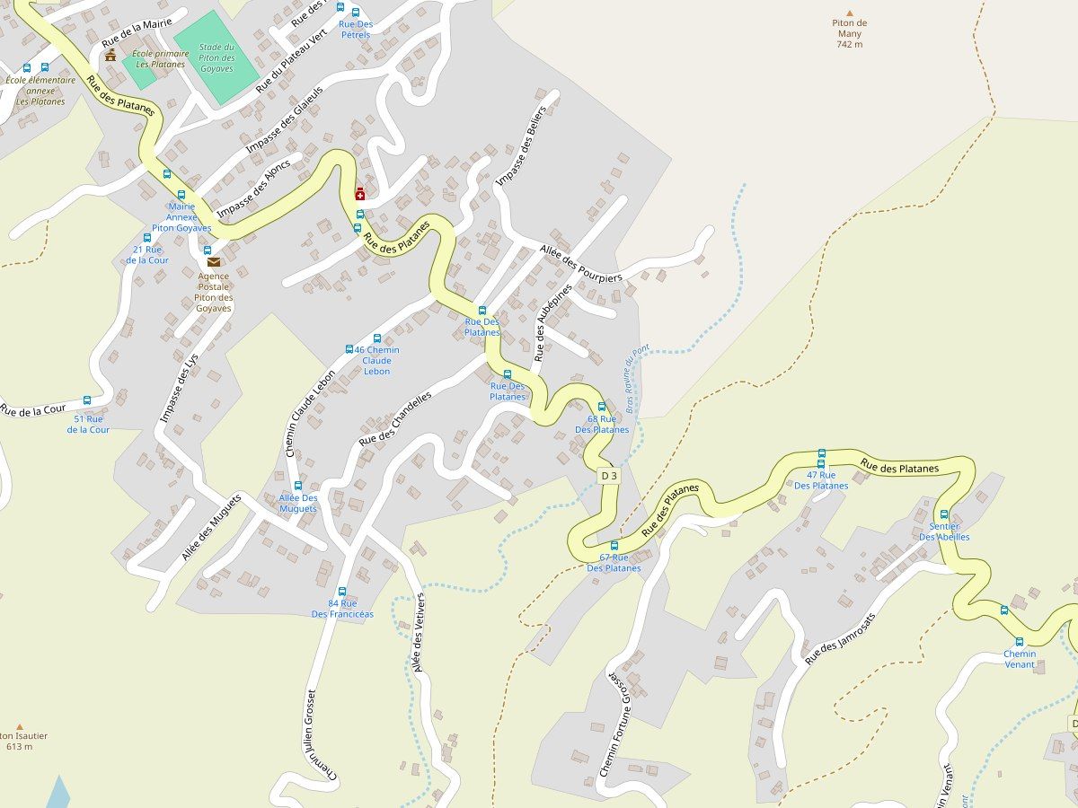 Carte de situation : rue des Platanes, à Piton des Goyaves, Petite-Île