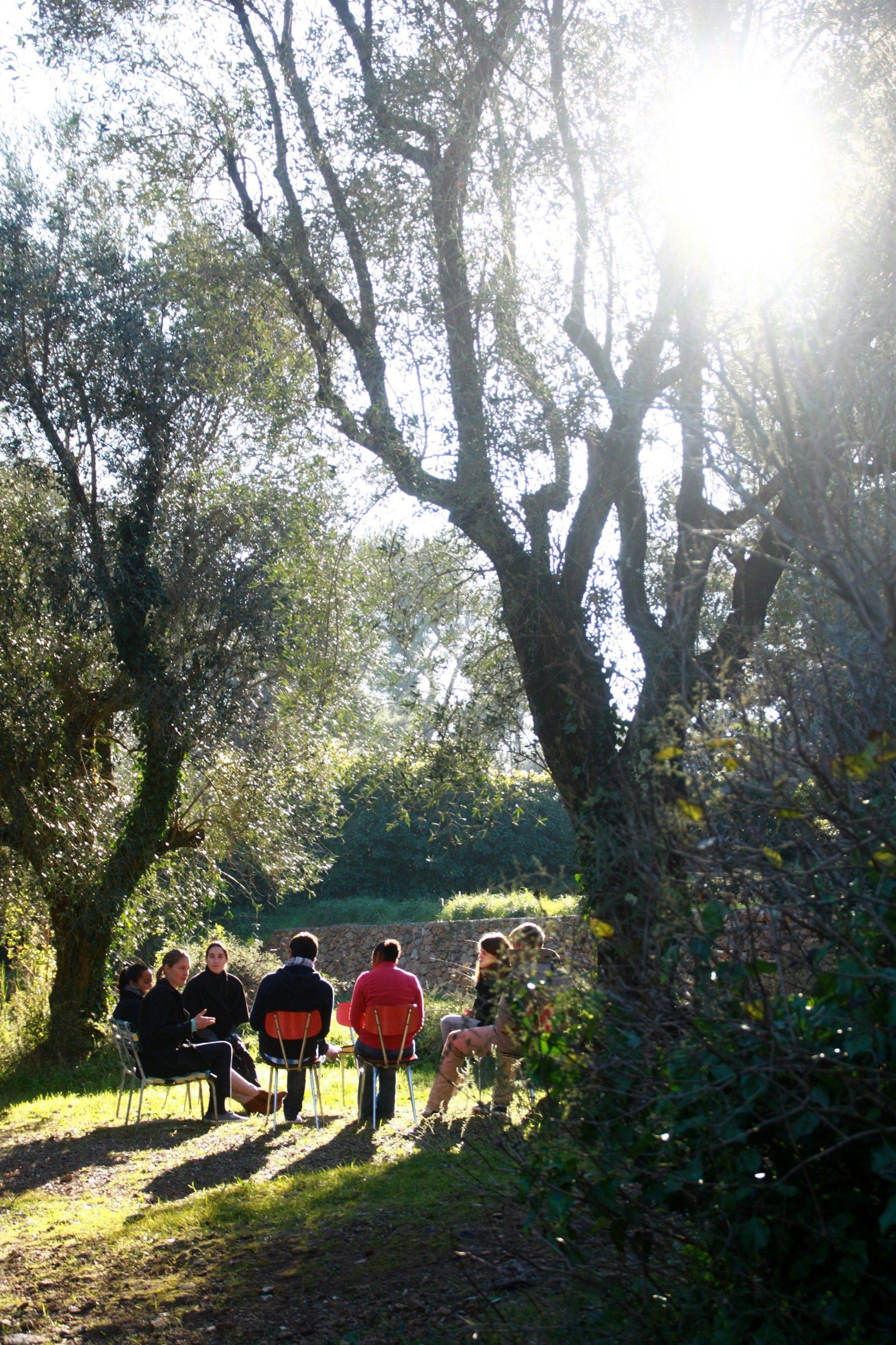 Groupe de personnes assises en cercle sous les arbres, échangeant dans la nature